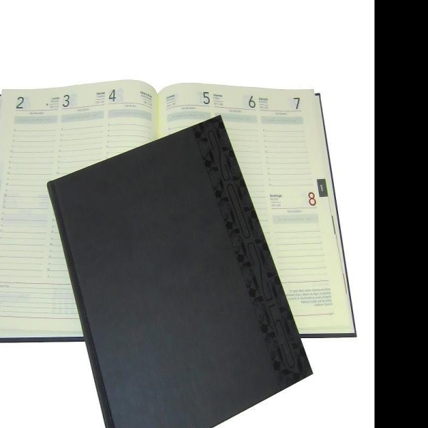 AGENDA ESCRIT. SEM. PUBLICIDAD A33 AVANTE 20X23 CM. COS.